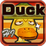 Hi Duck