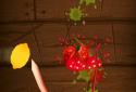 Fruit Ninja screenshot 2