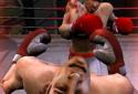 Iron Fist Boxing screenshot 1