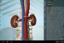 Anatomy 3D Pro - Anatronica screenshot 11