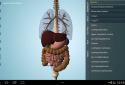Anatomy 3D Pro - Anatronica screenshot 8