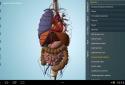 Anatomy 3D Pro - Anatronica screenshot 9