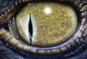 Dinosaur Eye Live Wallpaper screenshot 2