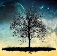 Beautiful relax islands HD