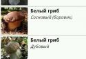 Грибы. Справочник screenshot 1
