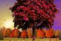 Autumn Trees Live Wallpaper screenshot 15