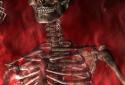 Hellfire Skeleton screenshot 3
