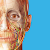 Human Anatomy Atlas