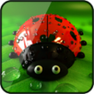 Ladybug Live Wallpaper