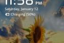 Sunflower Field Live Wallpaper screenshot 5