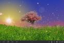 Spring Trees Live Wallpaper screenshot 6