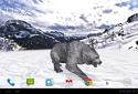 Pocket Bear HD screenshot 13