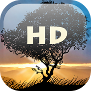 Falling Leaves HD