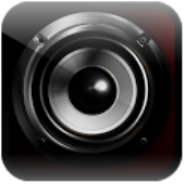 Динамик на экране/Screen Speaker