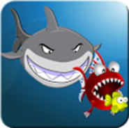 Angry & Crazy Fish Ninja Live