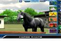 iHorse Racing screenshot 6