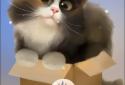 Cat in the Box screenshot 3