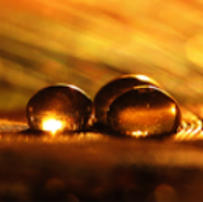 Golden Dreams Live Wallpaper