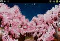 Sakura's Bridge Live Wallpaper screenshot 6
