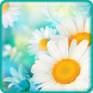 Falling Camomiles Wallpaper