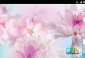 Falling Flowers Live Wallpaper screenshot 5