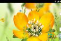 Spring Flowers Live Wallpaper screenshot 5