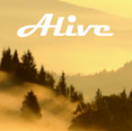 Forest Alive Video Wallpaper + (Видео-обои Лес +)