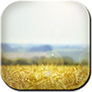 Summer Day Free Wallpaper