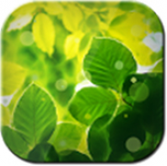 Summer Leaves Free LWP