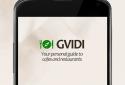 Gvidi screenshot 1
