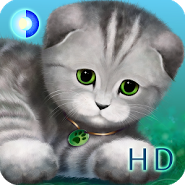 Silvery the Kitten HD LWP