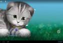 Silvery the Kitten HD LWP screenshot 12