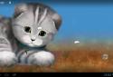 Silvery the Kitten HD LWP screenshot 13