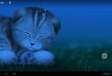 Silvery the Kitten HD LWP screenshot 4