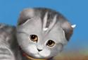 Silvery the Kitten HD LWP screenshot 5