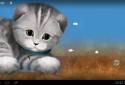 Silvery the Kitten HD LWP screenshot 8