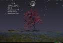 Nature Live Weather LWP screenshot 5