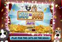 Cats vs Dogs Slots screenshot 5