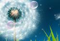 Dandelion Live Wallpaper screenshot 4