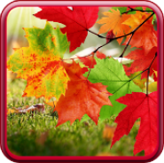Falling Autumn Leaves LWP