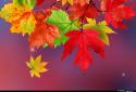 Falling Autumn Leaves LWP screenshot 4