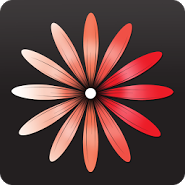 WomanLog календарь