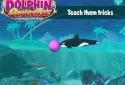 Dolphin Paradise: Wild Friends screenshot 10