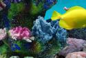 3D Aquarium Live Wallpaper PRO screenshot 5