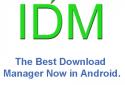 IDM Internet Download Manager screenshot 2