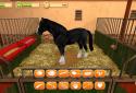 HorseWorld 3D: My Riding Horse screenshot 6