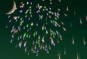 Docomo Fireworks screenshot 2