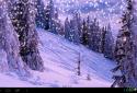 Winter Live Wallpaper HD screenshot 2