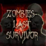 Zombies Last Survivor