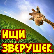 Ищи зверушек!